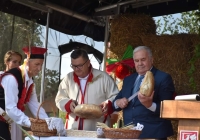 371909683_287202480686599_4174351376112372602_n