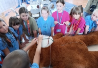 364090184_273359915404189_201645421107730833_n